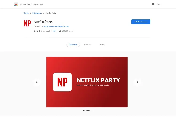 Netflix Party