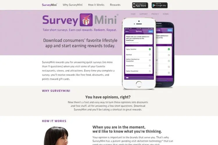 Survey Mini