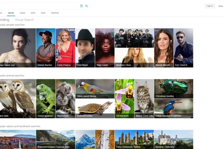 Bing ImageSearch